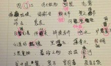 这个夏天，我们就散了_550字