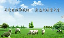 生态文明，你我共建_900字