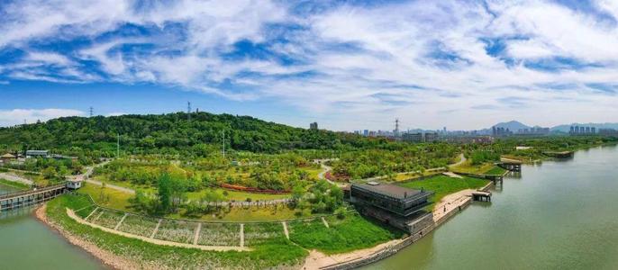 弘扬生态文明，创造一个森林城市_700字
