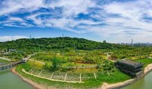 弘扬生态文明，创建森林城市_700字