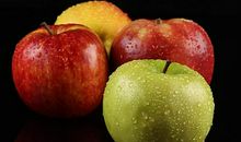 名人故事：分大苹果_450字