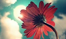 当我面对秋的时候_500字