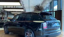 暗夜的神秘_600字