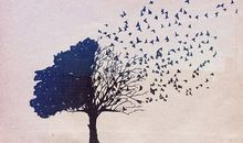 永恒的生命_650字