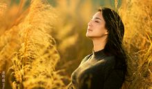 夕阳的味道_550字