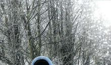 冰雪的遭遇_1000字