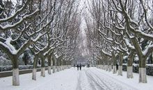 [为学杯A组]乡下人家（冬）_450字