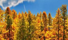 [为学杯B组]沁入寒冷中的火热_1000字