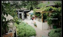 难忘的石雀胡同_600字