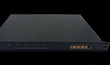 [为学杯C组] 石岗上的“小草”_550字