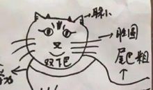 [为学杯A组]养虫风波_1000字