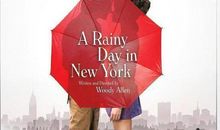 【每日小记】又是一个雨天_250字