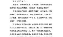 读《我的大学》有感作文_900字