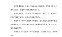 金色的鱼钩缩写 原创_250字