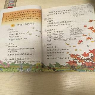秋季声音_350字