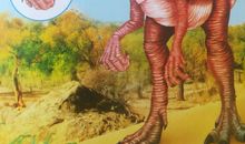 读李希贵“为四十岁做准备“有感_2000字