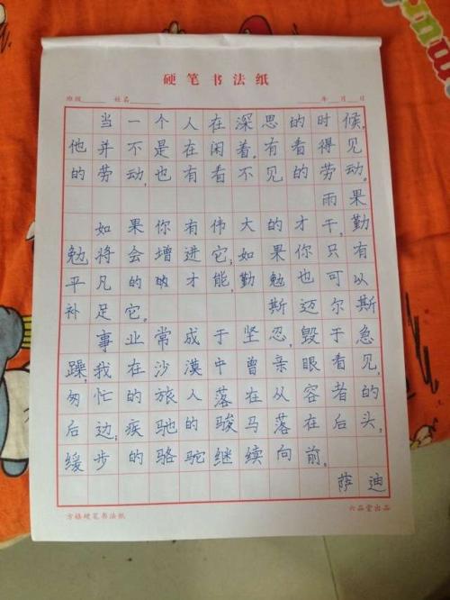 [为学校杯A]每日爱_600字