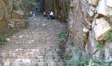 [为学杯A组]游山随笔_2000字