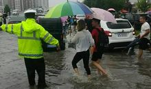 暴风雨的温柔_650字