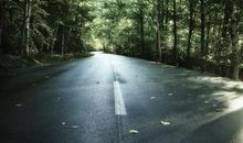 黑暗的悲伤_550字