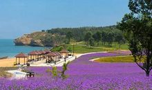 日月同辉带来美_600字