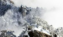 如梦似幻的南国冬雪_900字