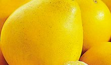 柚子中的亲情_550字