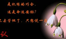 把温暖给你_750字