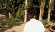 唯一的记忆_550字