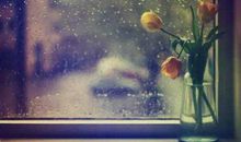 窗外的思绪_600字