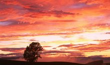 夕阳的绚烂_1200字