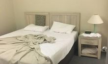 两生花开时_600字