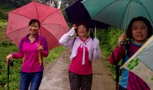 花样生命_1500字