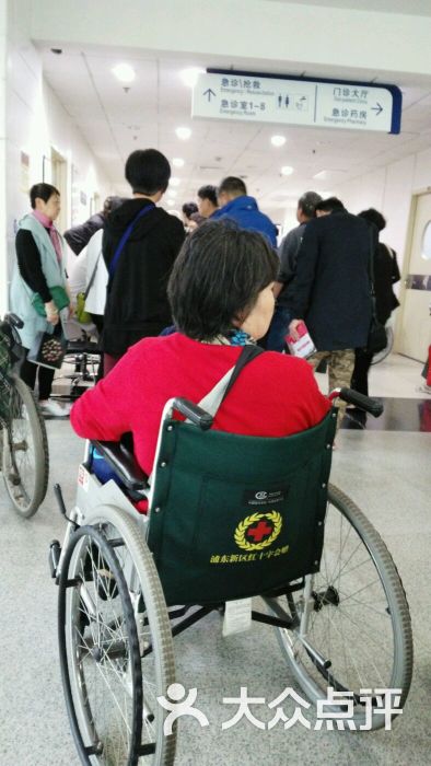 生命功能_700字