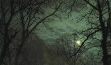 诡异手机_1200字