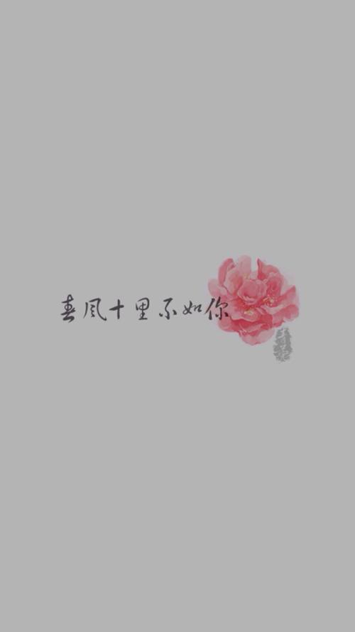 流量年_600字