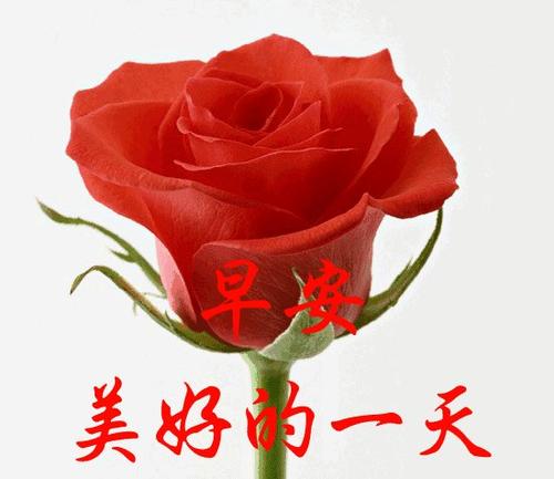 清晨_550字
