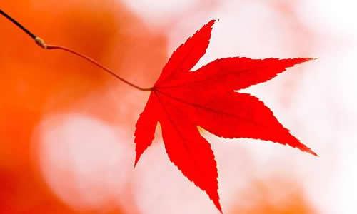 天水是阳光明媚的，我害怕风暴_800字