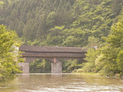 令人难忘的家乡 -  Cuizhu Forest_350字