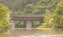 难忘的故乡——翠竹林_350字