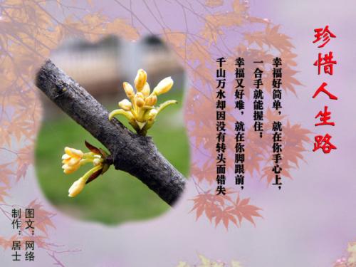 珍惜生活中的每个人，一切_250字
