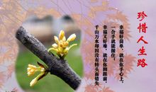 珍惜生命中的每一个人，每一件事_250字