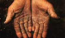 默默付出的劳动者_500字