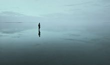 飞翔，也是种无奈_900字