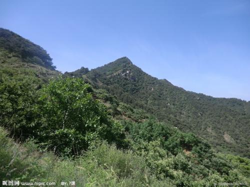 在山上，山上有一个风景_1000字