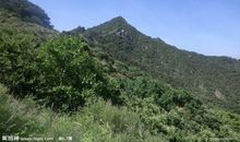 山里，山外风景独好_1000字