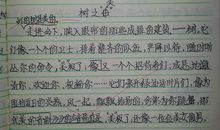 美的瞬间_300字