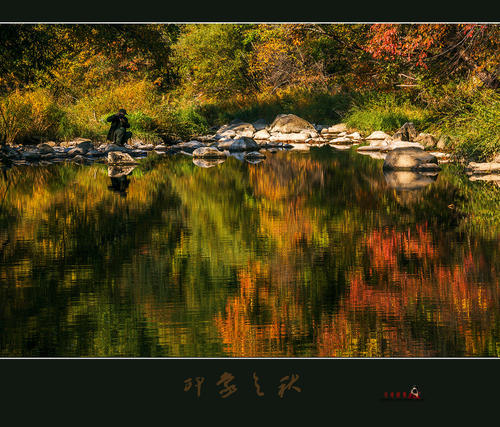 秋天印象_600字