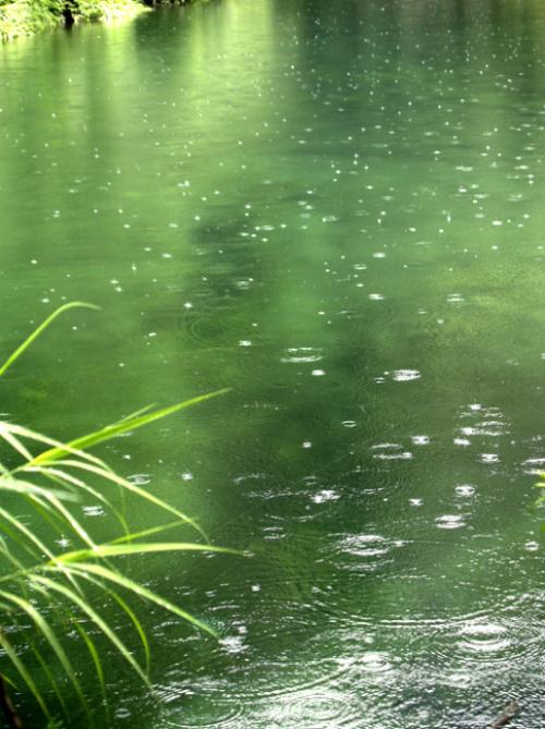 聆听，雨滴的声音_700字
