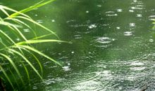 听，雨滴的声音_700字